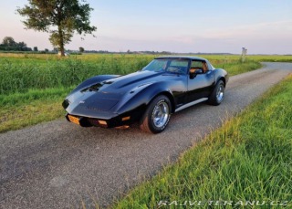 Chevrolet Corvette  1979