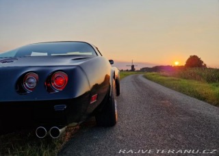 Chevrolet Corvette  1979