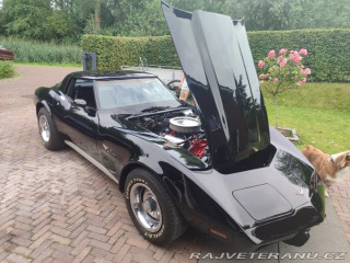 Chevrolet Corvette  1979