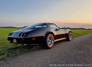 Chevrolet Corvette  1979