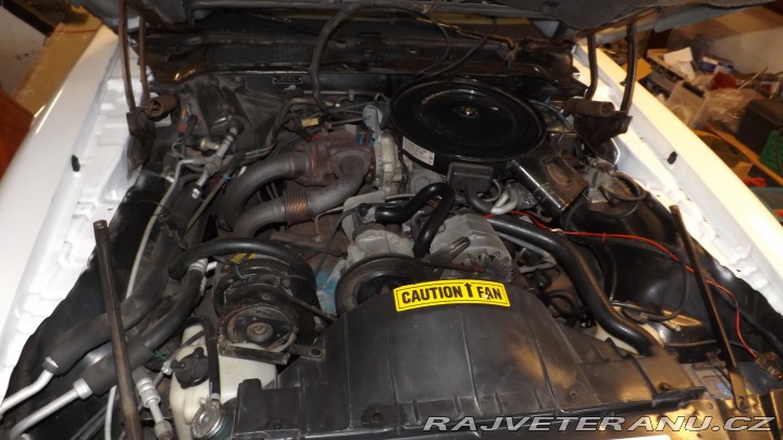 Pontiac Trans Am Turbo 1980