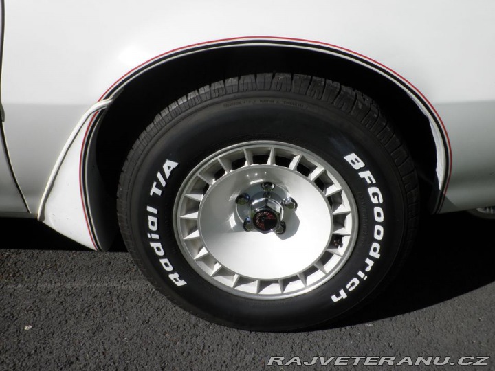 Pontiac Trans Am Turbo 1980