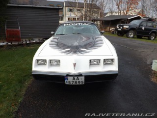 Pontiac Trans Am Turbo 1980