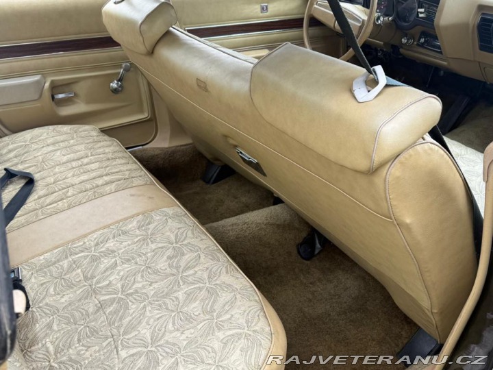 Buick Century (5) 1975