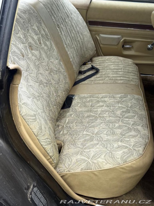 Buick Century (5) 1975