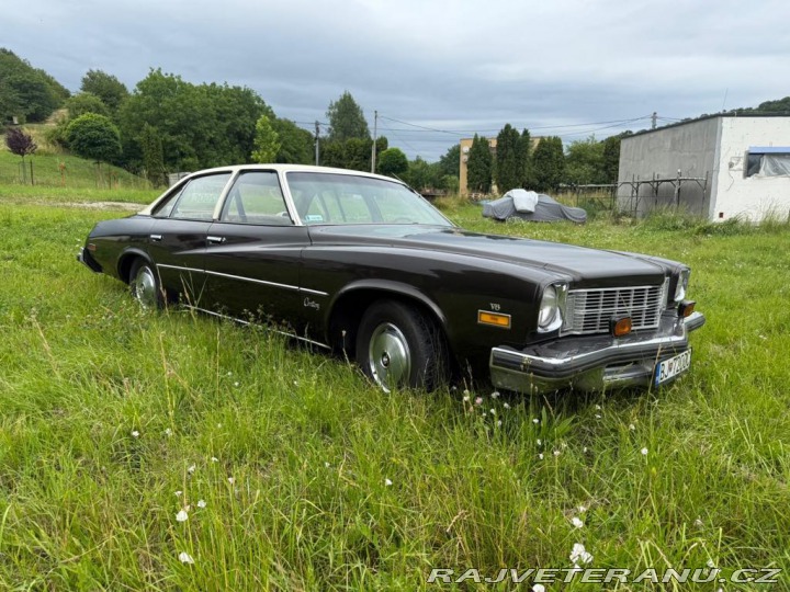 Buick Century (5) 1975