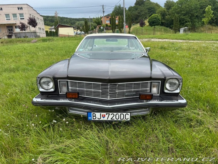 Buick Century (5) 1975