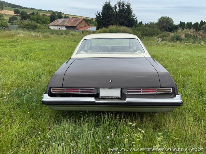 Buick Century (5) 1975