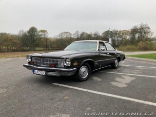 Buick Century  1975