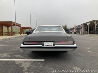 Buick Century  1975