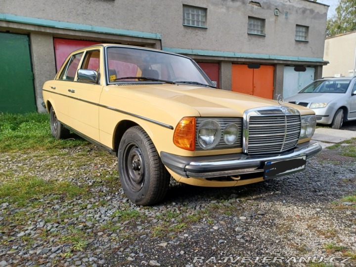 Mercedes-Benz 250 w123 1980