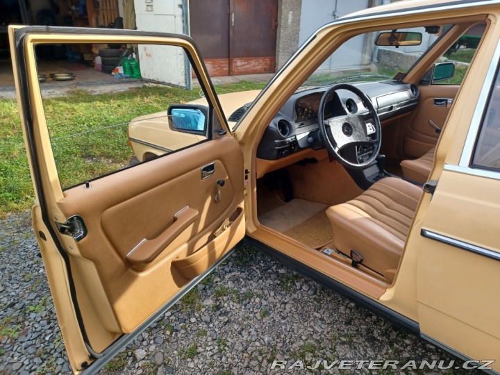 Mercedes-Benz 250 w123 1980