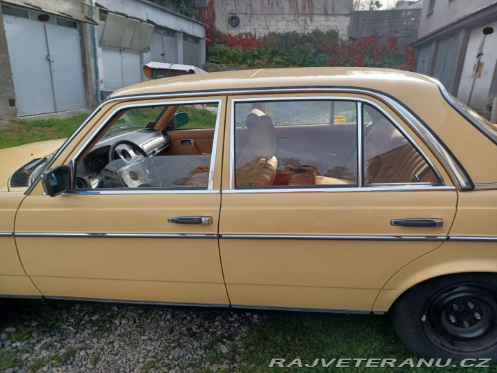Mercedes-Benz 250 w123 1980