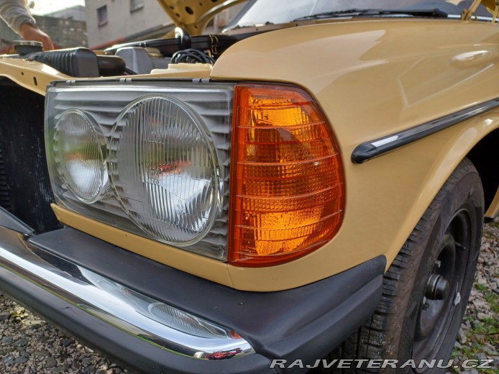 Mercedes-Benz 250 w123 1980
