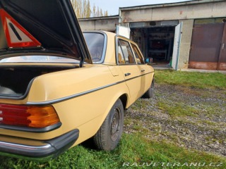 Mercedes-Benz 250 w123 1980