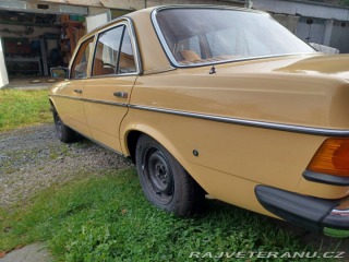 Mercedes-Benz 250 w123 1980