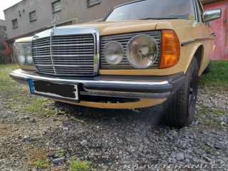 Mercedes-Benz 250 w123 1980