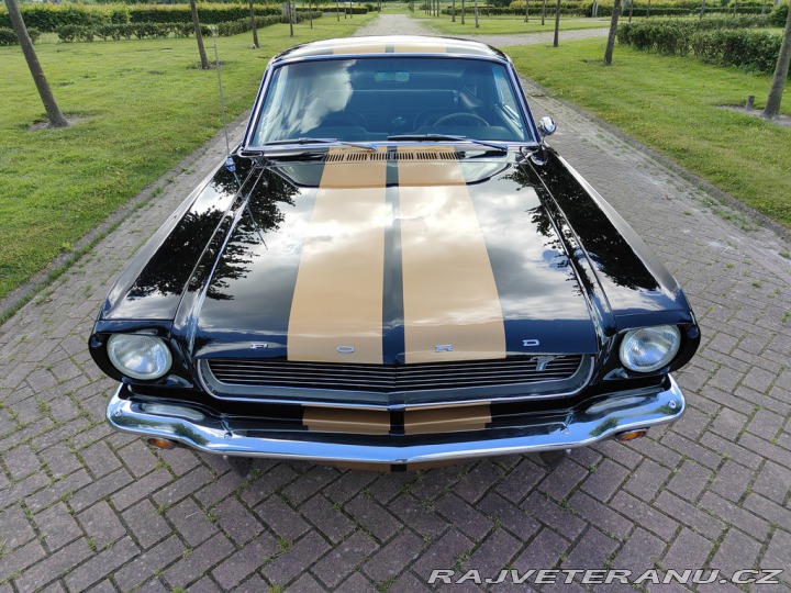 Ford Mustang Fastback 1966
