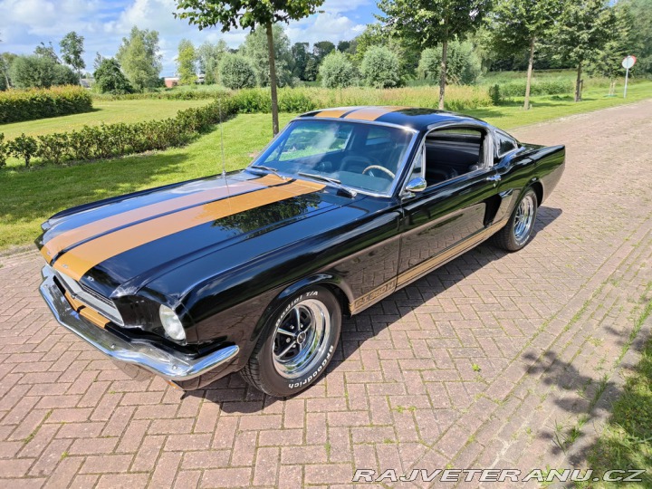 Ford Mustang Fastback 1966
