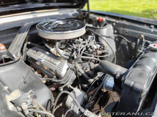 Ford Mustang Fastback 1966
