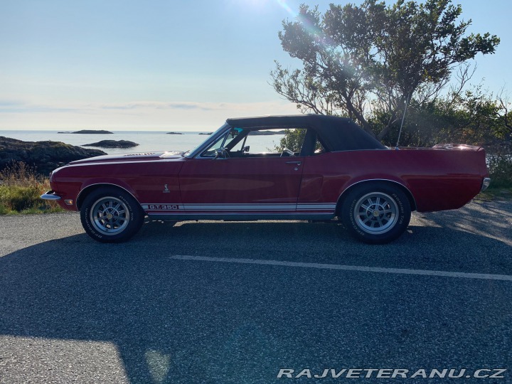 Ford Mustang Replika Shelby GT 350 1968