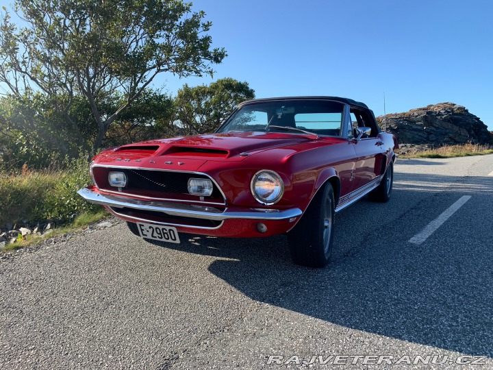 Ford Mustang Replika Shelby GT 350 1968