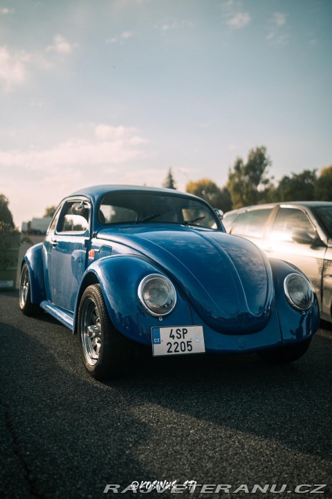Volkswagen Brouk Chop Top 1971