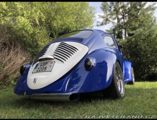 Volkswagen Brouk Chop Top 1971