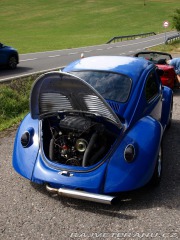 Volkswagen Brouk Chop Top 1971