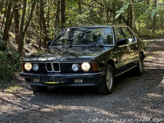 BMW 7 745i Turbo S2 Executive