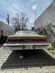Ford Thunderbird 1976