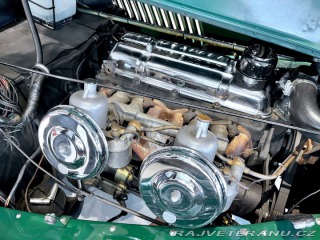 Morgan Plus 4 1955