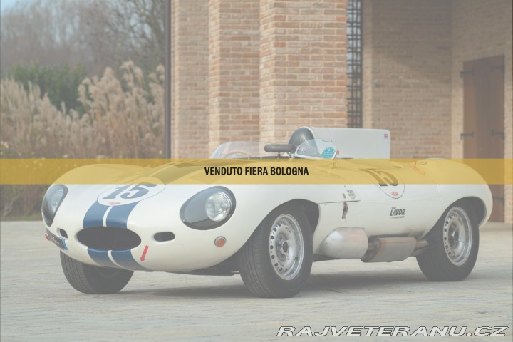 Jaguar D-Type Replica 1977