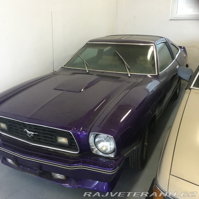 Ford Mustang Targa