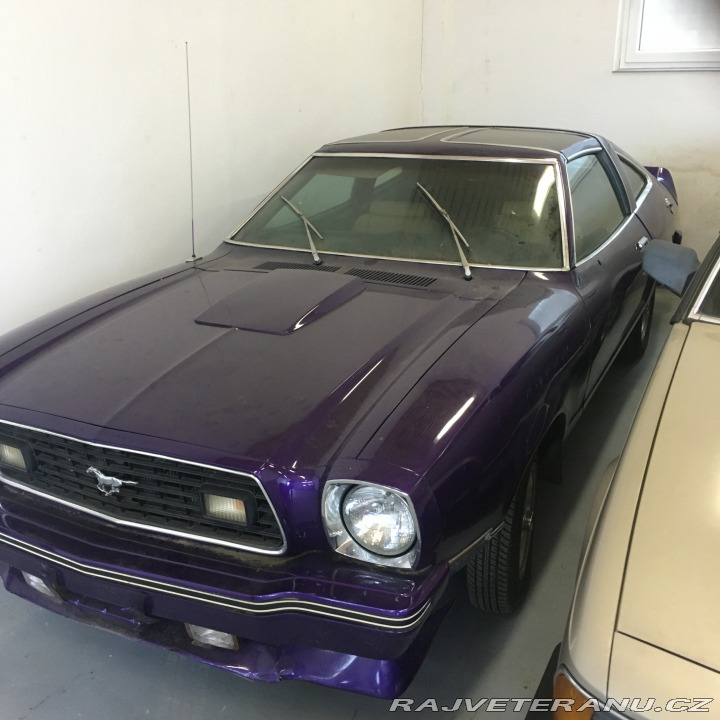 Ford Mustang Targa 1978