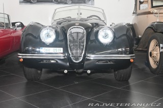 Jaguar XK 120 roadster 1951