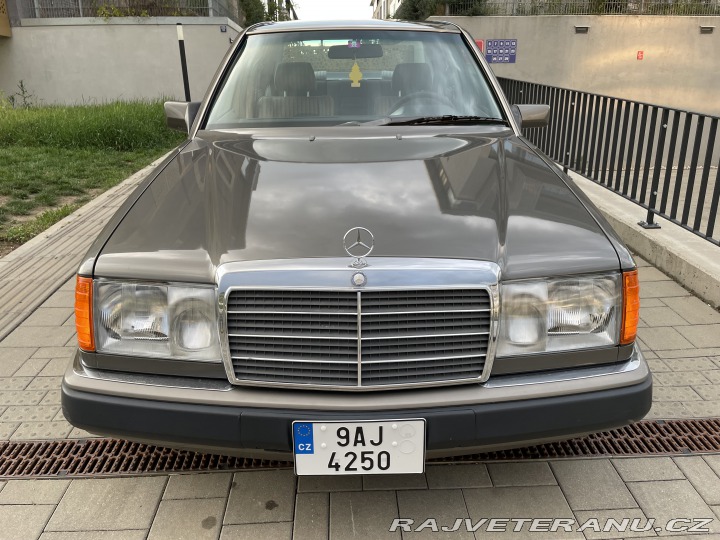 Mercedes-Benz 300 124 1990