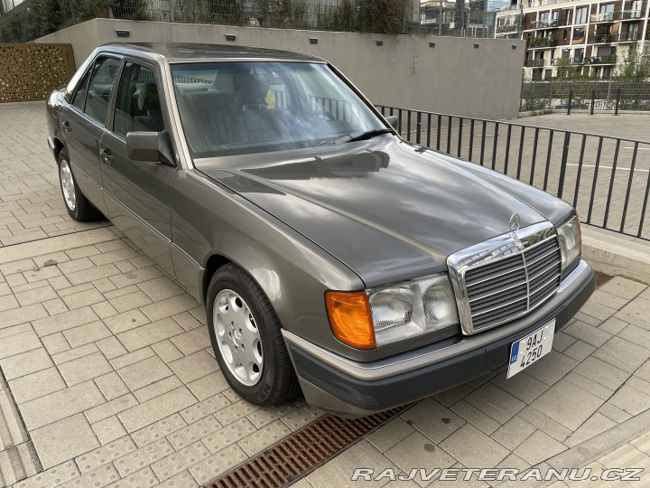 Mercedes-Benz 300 124 1990