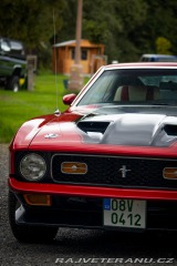 Ford Mustang Mach1 1971