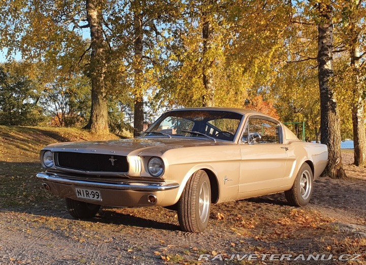 Ford Mustang Fastback 1965