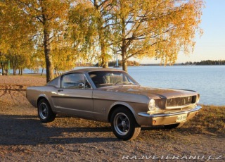 Ford Mustang Fastback 1965