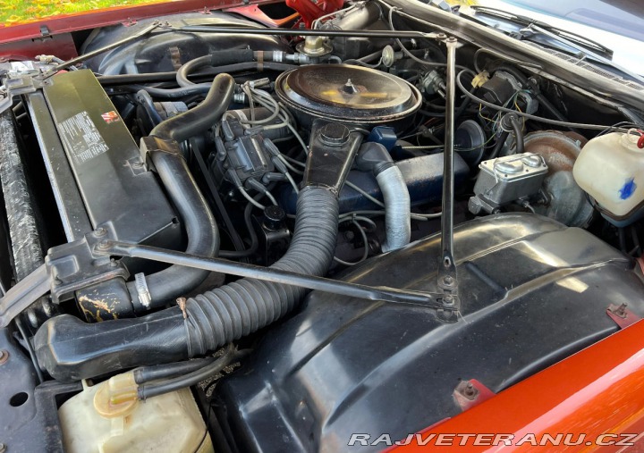 Cadillac Coupe de Ville  1976
