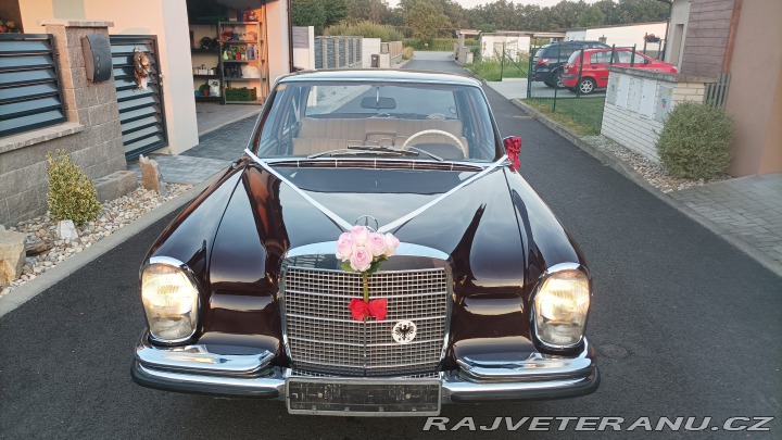 Mercedes-Benz 250 W108 1969