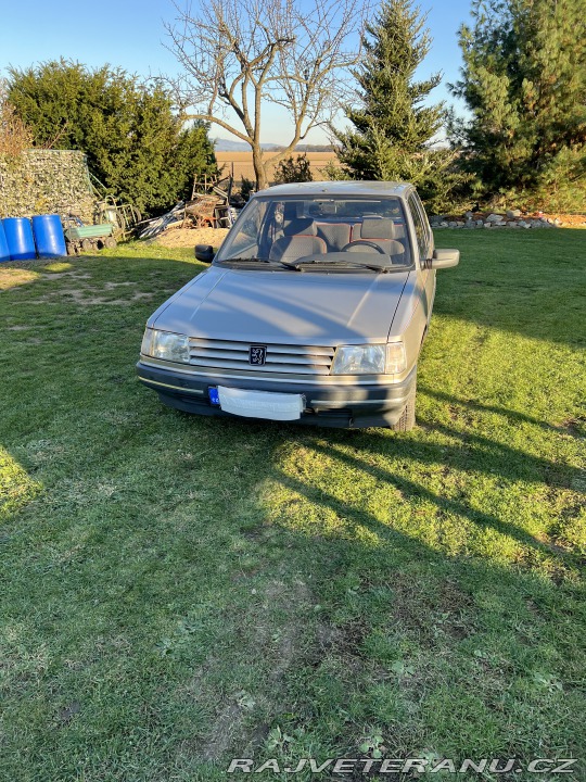 Peugeot 309 1992