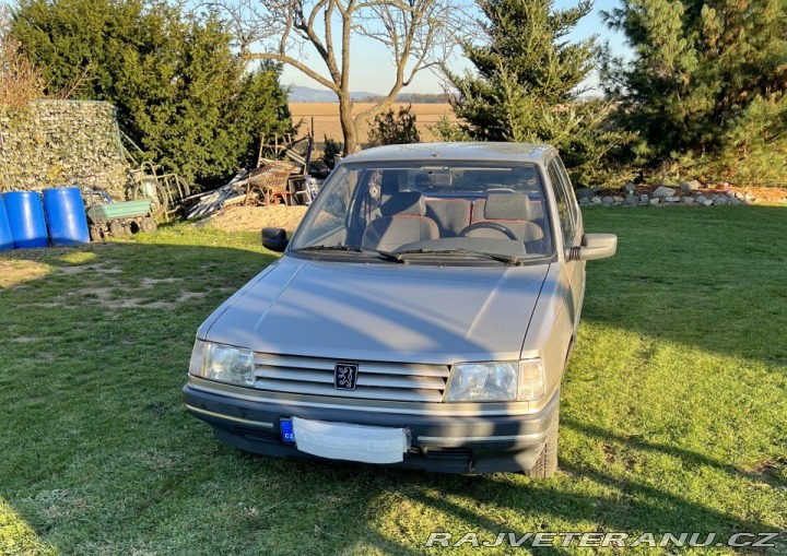 Peugeot 309 1992