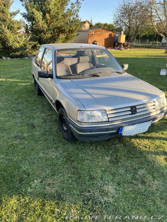 Peugeot 309 1992