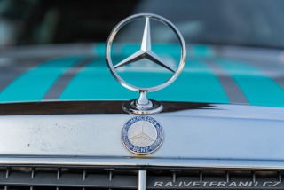 Mercedes-Benz 190 190E 2.3-16V Rally Car 1986