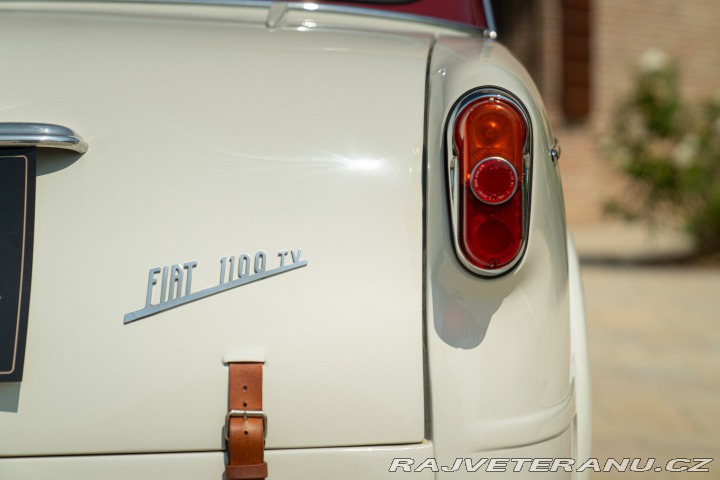 Fiat 1100 1100/103 TV 1954