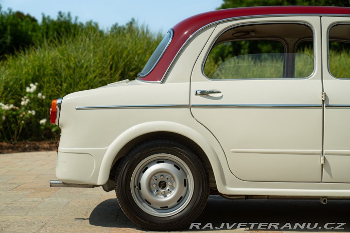 Fiat 1100 1100/103 TV 1954