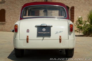 Fiat 1100 1100/103 TV 1954
